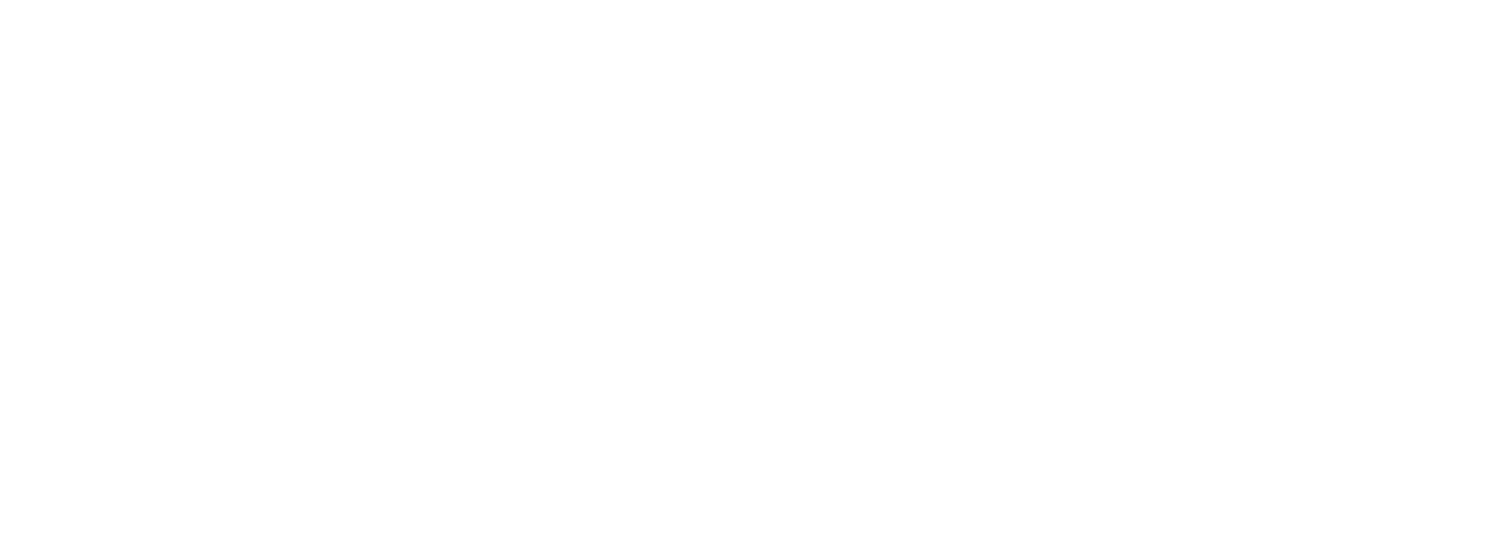 Spark NZ